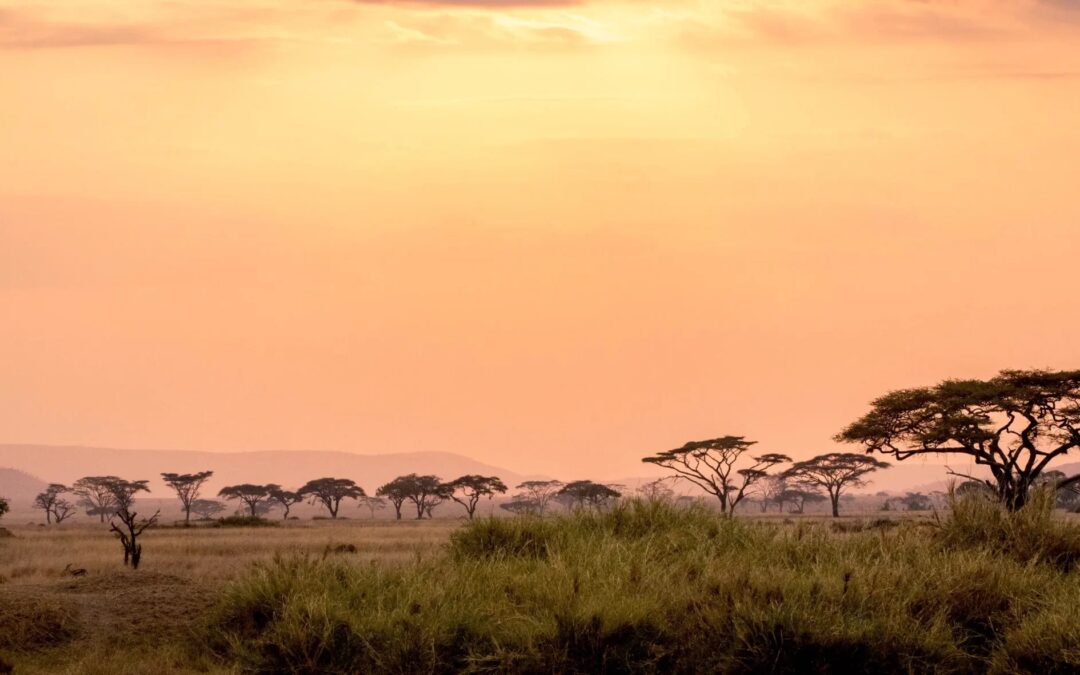 3 Days The Serengeti Trails