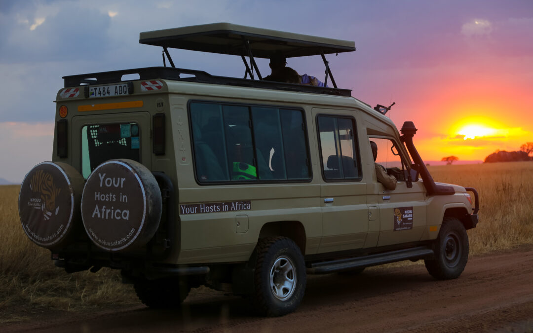 10 Days Across Tanzania: Follow the Great Migration With the Whole Family