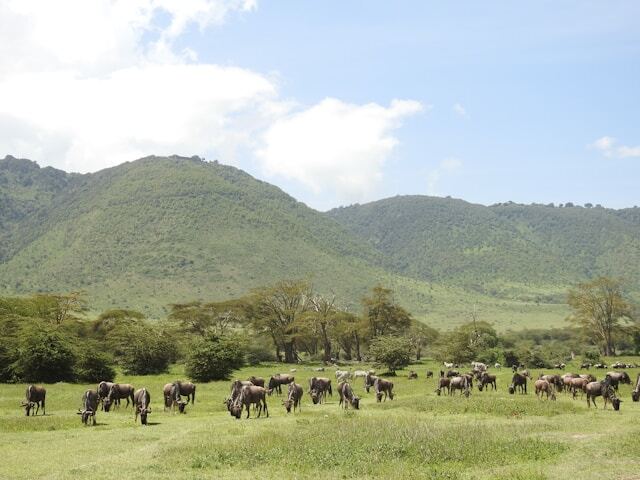 Ngorongoro Crater