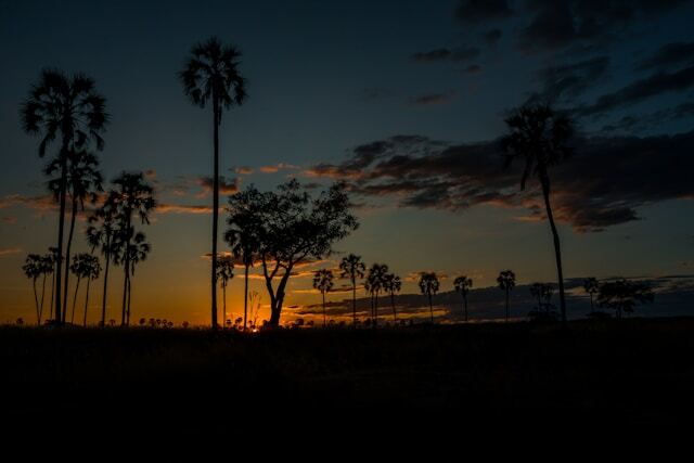 Sun set view from Ruaha National Park