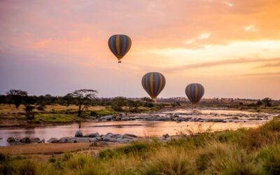 8 Best National Parks for Safari in Tanzania | 2025 Updated